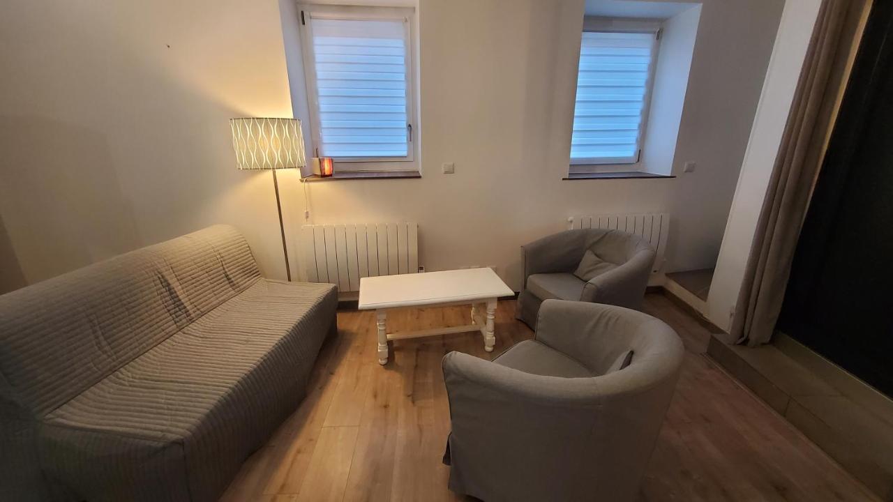 Apartmán L'Ecrin De Saint Genest Lerpt - Belle Vue Et Calme Exteriér fotografie